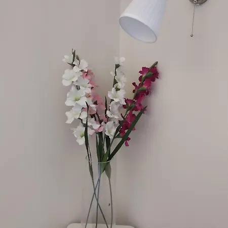 Apartament Rakoczi Ut 63. *