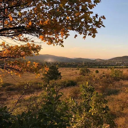 Buda Valley: With Garden *