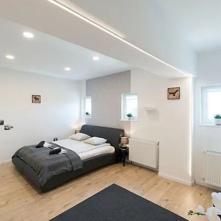 Apartment Of Madach *