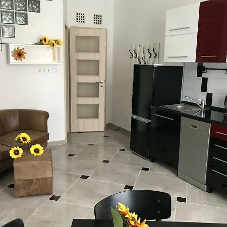 Sunflowers Budapest