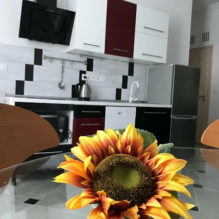 Apartment Sunflowers