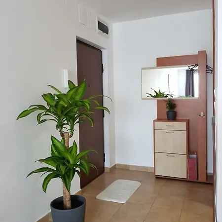 Magnólia Apartman Apartman