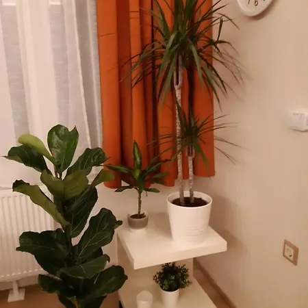 Modern, Quiet & Cozy In The Middle Of Downtown Near Danube At Fashion Street Apartment *
