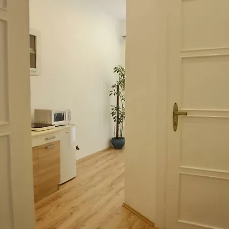 Apartment Free Garage!!! Downtown Near The New York Coffee House