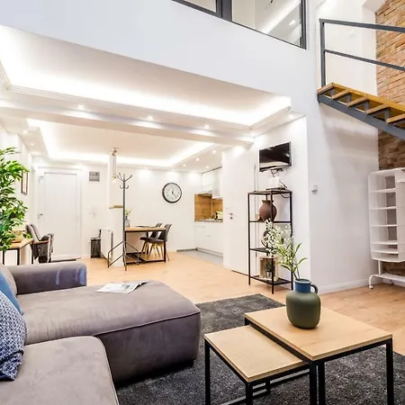 Apartment Luxury Loft