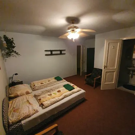 Bed & Breakfast Viki Budapest