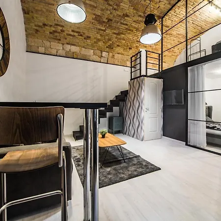 Apartment Spacious Loft In The Heart Of Downtown