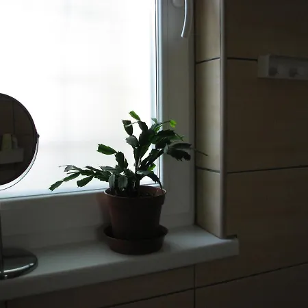 Sunbird Apartment