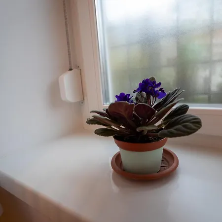 Apartment Sunbird