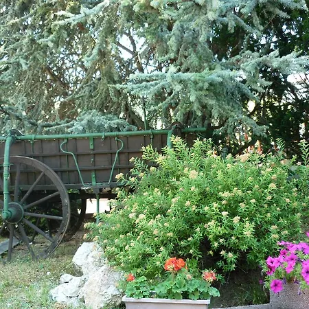 Kapu Panzio Bed & Breakfast