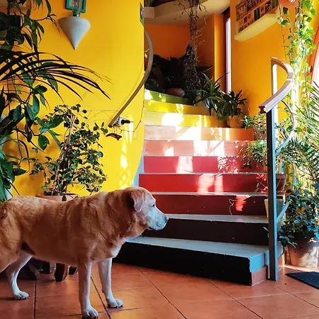 Shantee House Hostal *