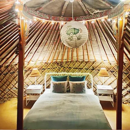 Hostal Shantee House