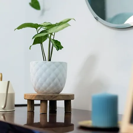 Apartmán Cozy Boho Apartment, Super Central, Parliament, Netflix