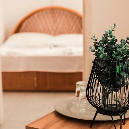 Hotel Timon 3*