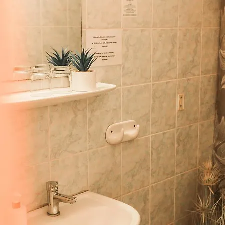 Hotel Timon