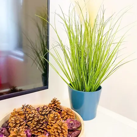 Apartament Downtown Andrassy *