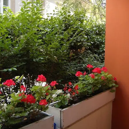 Buda Castle Apartment *