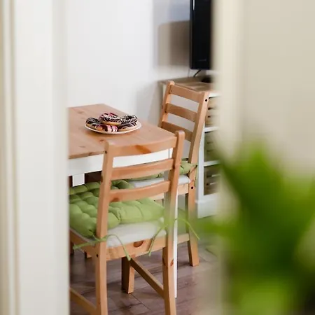 Downtown Greenie Apartment *