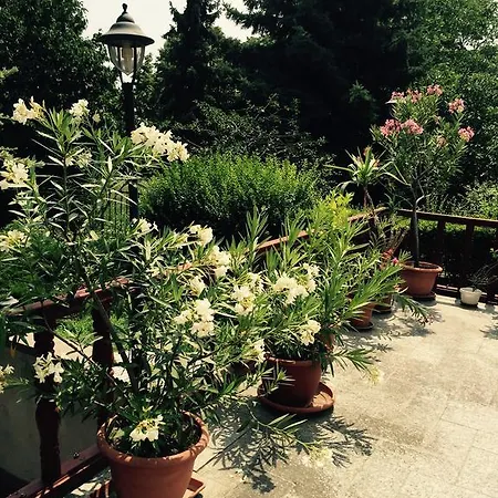 Bed & Breakfast Kapu Panzio
