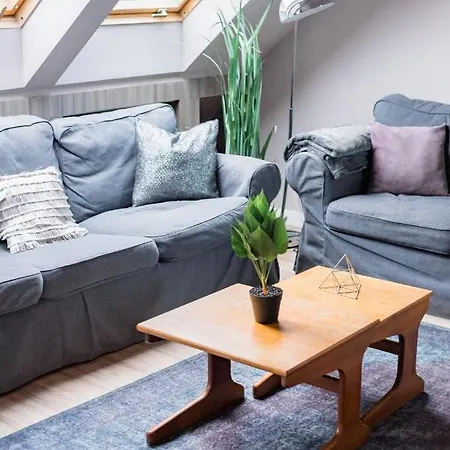 Sunny And Penthouse With Private Garage * Budapeszt