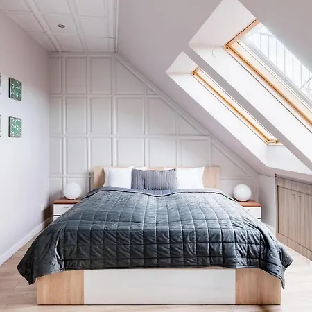 Sunny And Penthouse With Private Garage Apartament