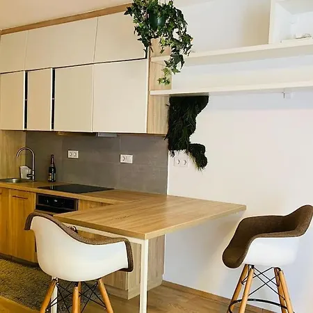Designer Studio W/xl Balcony *