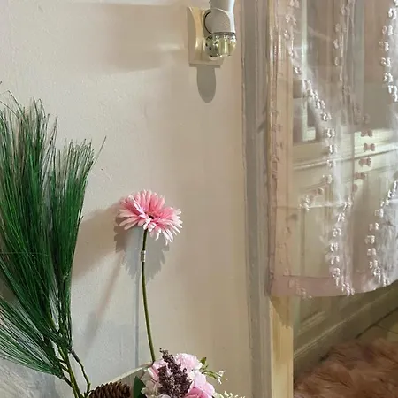 Littlepearl By Kiraly Apartment Budapest