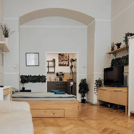 Apartment Big In The Centre