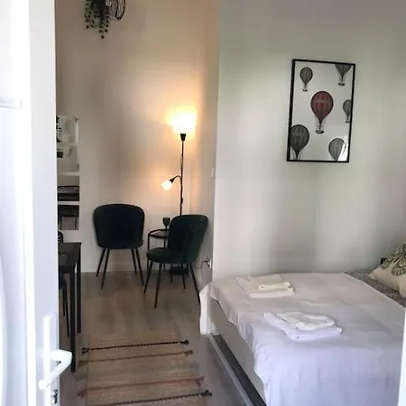 Near Park Only 5 Minutes Walk , Where Find The World Famous Szechenyi Thermal Bath Spa, Capital Circus , Museums The Is Modern And Newly Renovated ,in A Quiet And Peaceful Oasis With Ac ,smart Tv, High Speed Internet Apartment Budapest