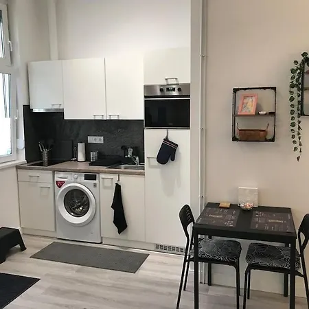 Apartment Near Park Only 5 Minutes Walk , Where Find The World Famous Szechenyi Thermal Bath Spa, Capital Circus , Museums The Is Modern And Newly Renovated ,in A Quiet And Peaceful Oasis With Ac ,smart Tv, High Speed Internet *