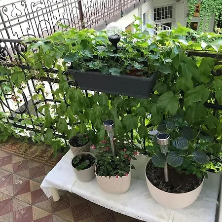 Near Park Only 5 Minutes Walk , Where Find The World Famous Szechenyi Thermal Bath Spa, Capital Circus , Museums The Is Modern And Newly Renovated ,in A Quiet And Peaceful Oasis With Ac ,smart Tv, High Speed Internet * Budapest