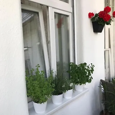 Apartment Near Park Only 5 Minutes Walk , Where Find The World Famous Szechenyi Thermal Bath Spa, Capital Circus , Museums The Is Modern And Newly Renovated ,in A Quiet And Peaceful Oasis With Ac ,smart Tv, High Speed Internet