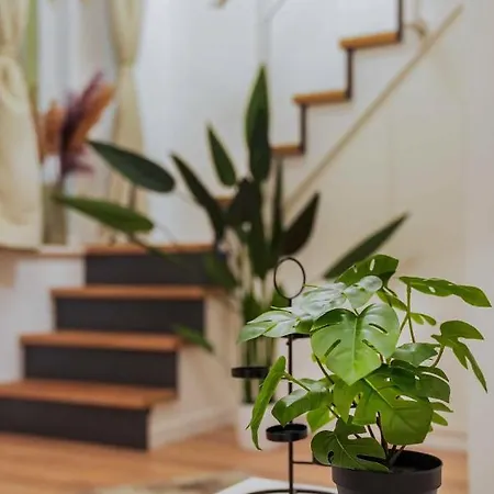 Greenlight Gallery By Newave Apartment Budapest