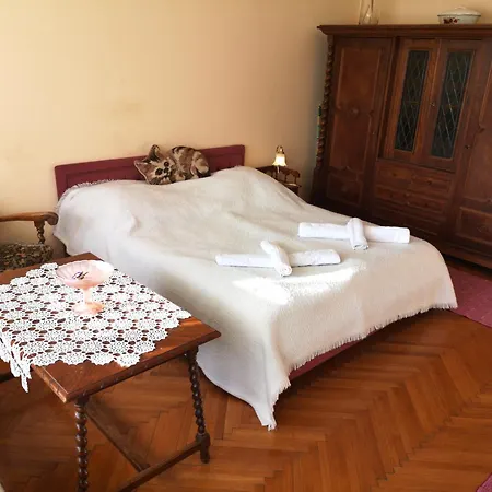 Apartment Terrace