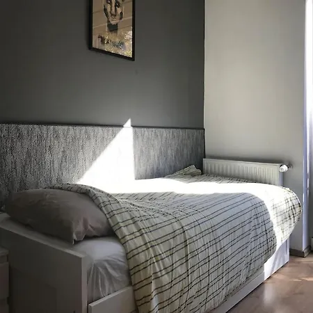 Perfect Family-friendly Midtown Apt+french Balcony Apartment Budapest