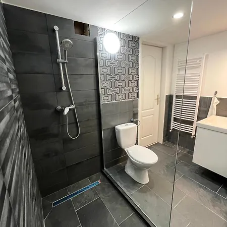 Apartament Nefelejcs