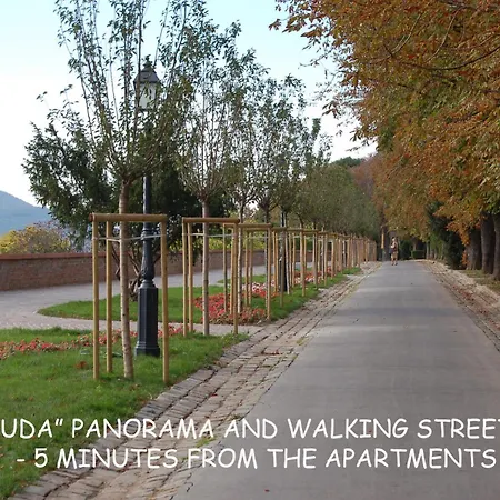 Apartment Buda Castle Budapest