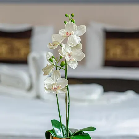 Andrassy Thai 3* Budapest