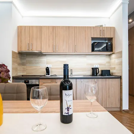 Free Parking Coco Elegant 4ppl Ac * Budapest