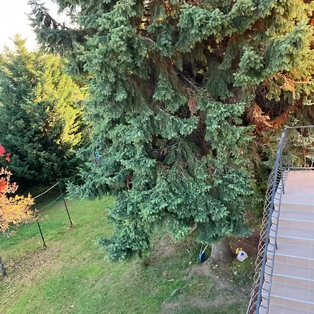 Apartment Retifarkas