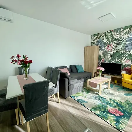 Design #swallowmood#freeparking * Budapest