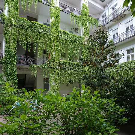 Near Park Only 5 Minutes Walk , Where Find The World Famous Szechenyi Thermal Bath Spa, Capital Circus , Museums The Is Modern And Newly Renovated ,in A Quiet And Peaceful Oasis With Ac ,smart Tv, High Speed Internet *