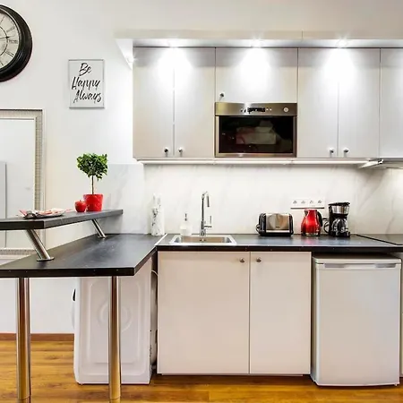 The Spacious Dream Apartment