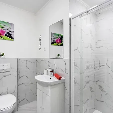 The Spacious Dream Apartment