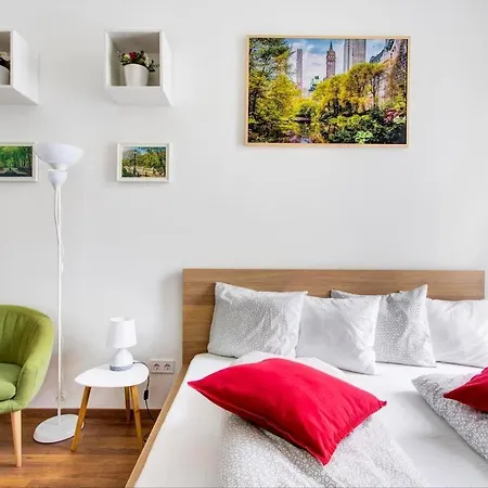 The Spacious Dream Apartment