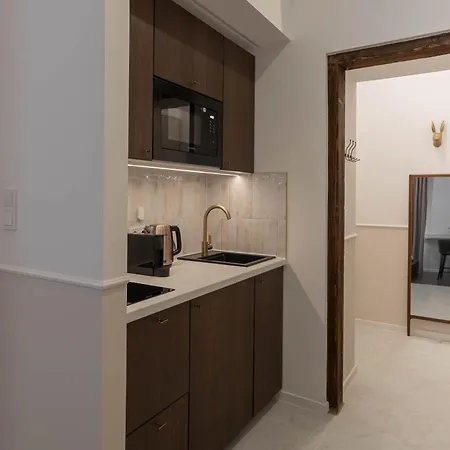 V15 Luxury In The Heart Of Apartment Budapest