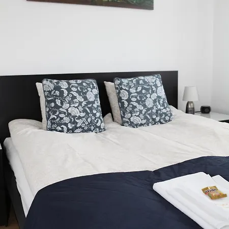 Paskal-lux With Free Parking And Ac Appartement Boedapest
