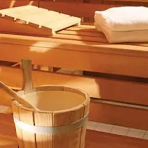 Wellness With Sauna Park 4*