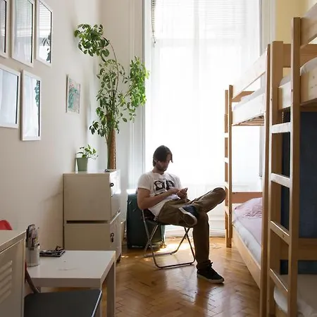 Activity Hostel *