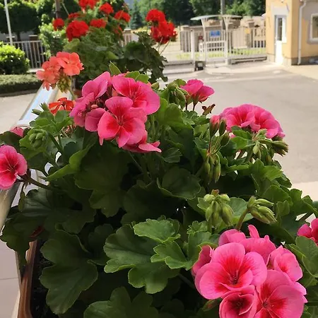 Ceu Konferencia Koezpont Βουδαπέστη